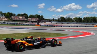 Fernando Alonso provoca una bandera roja en unos Libres liderados por Norris