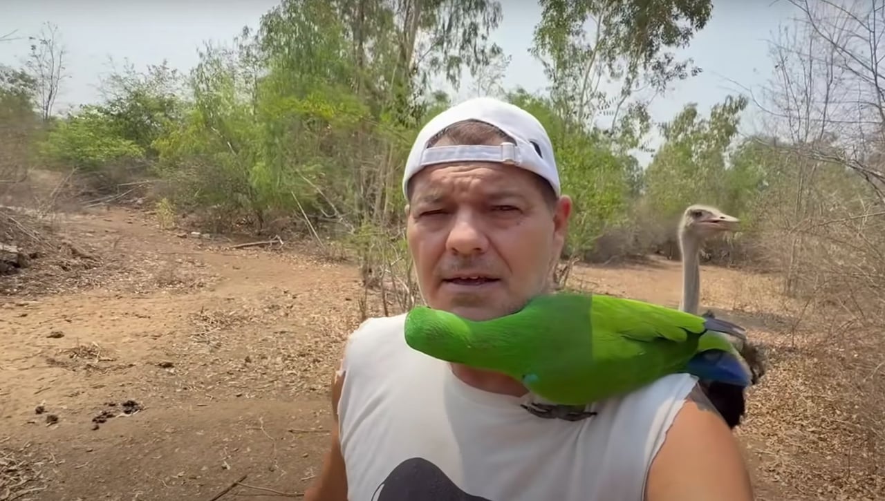 Frank Cuesta, ingresado de urgencia