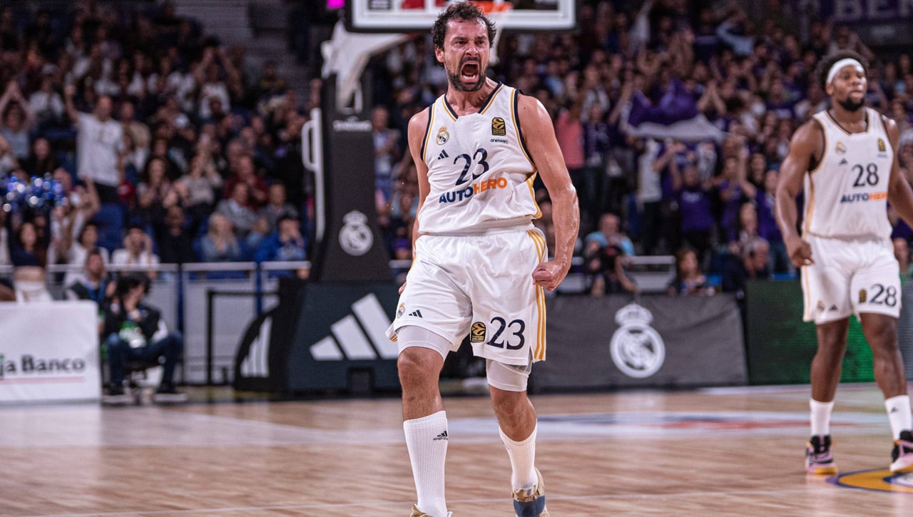 Palmarés Real Madrid de Baloncesto: Cuántos títulos ha ganado el Madrid de basket en la historia