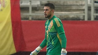 La Selección le echa una mano a la Real Sociedad