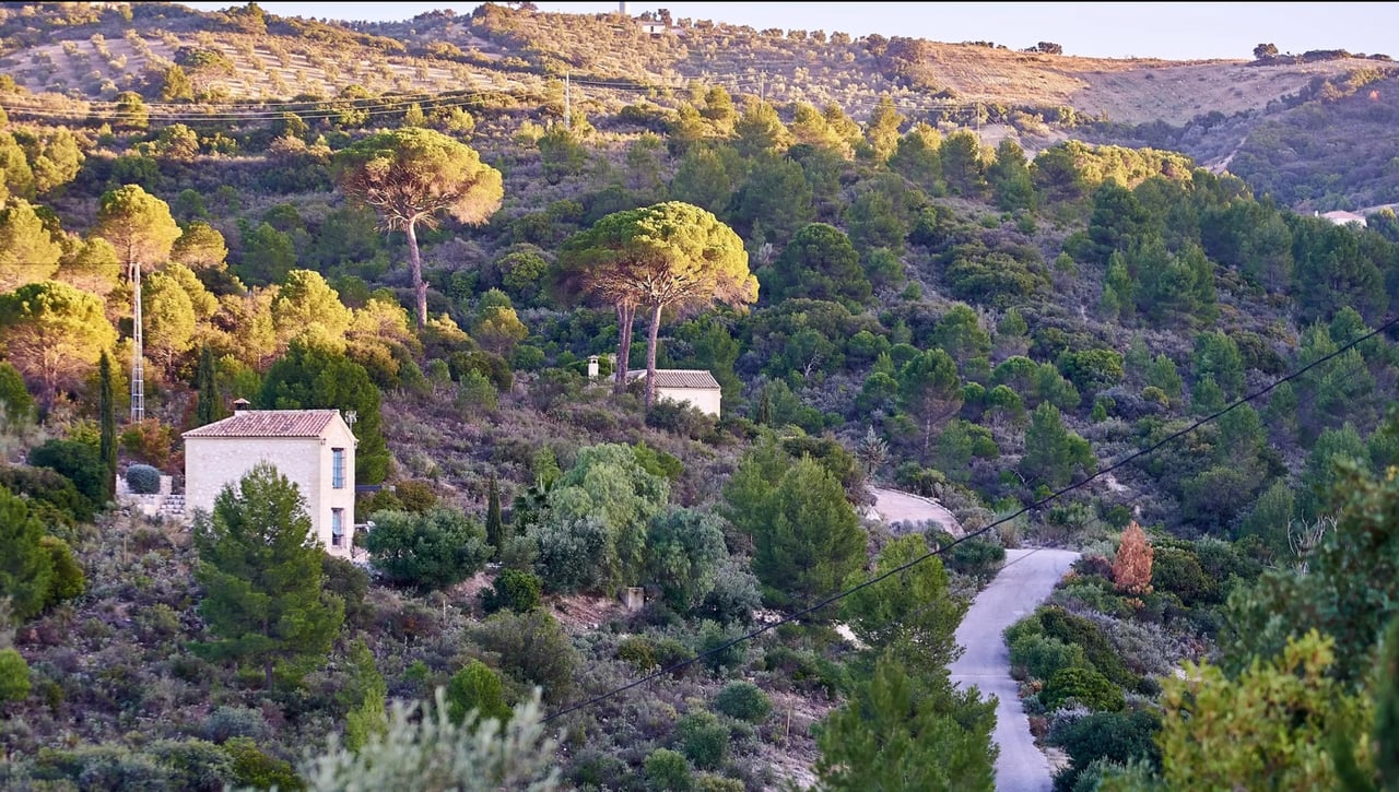 Sendero Las Viñas: Circular sencilla para disfrutar del paisaje que ofrece Osuna