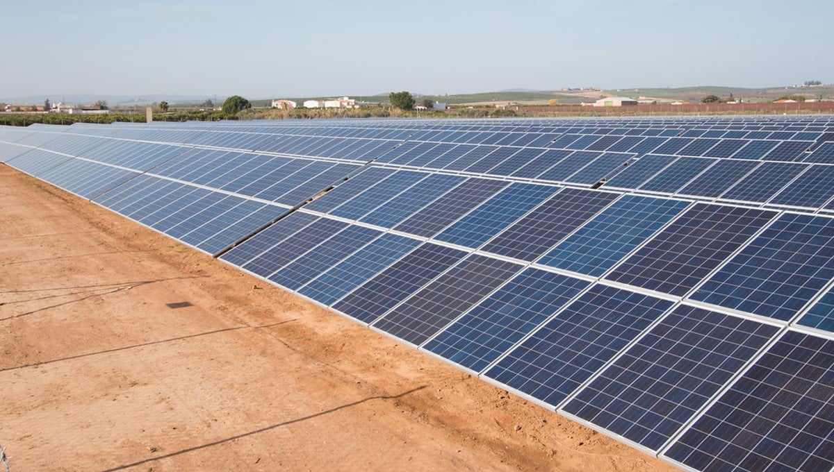 Precio de la luz, hoy domingo 1 de enero de 2023, por horas: cuándo está más barata