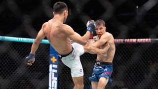 El origen del octógono: por qué la jaula tiene ocho lados