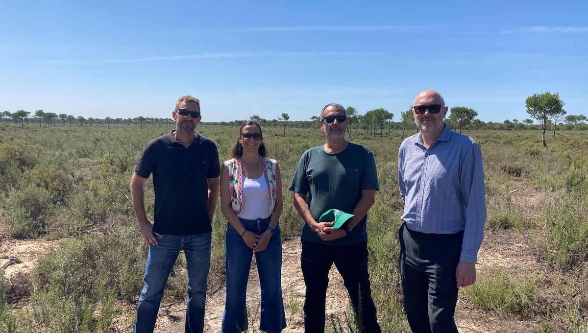 Helvetia Seguros contribuirá a la reforestación de más de 14 hectáreas en el Parque Nacional de Doñana 