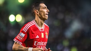 El infierno narcoterrorista de Di María