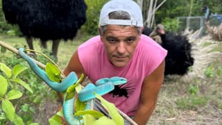 El impactante estado de Frank Cuesta tras una picadura 