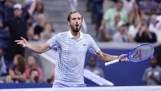 Medvedev, solo ante el abismo