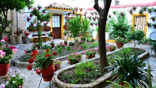 El lugar más visitado de Córdoba que rompe récords en España y no es la mezquita