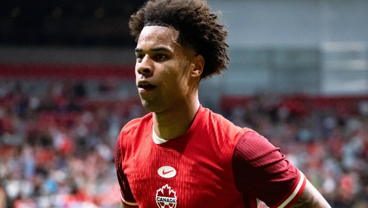 Avances para cerrar la incorporación de Buchanan