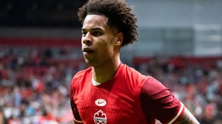 Avances para cerrar la incorporación de Buchanan