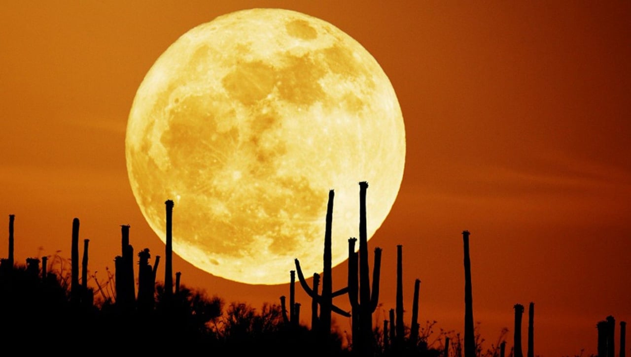 Luna llena Septiembre 2024 | Cómo y cuando ver la SuperLuna de la cosecha
