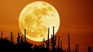 Luna llena Septiembre 2024 | Cómo y cuando ver la SuperLuna de la cosecha