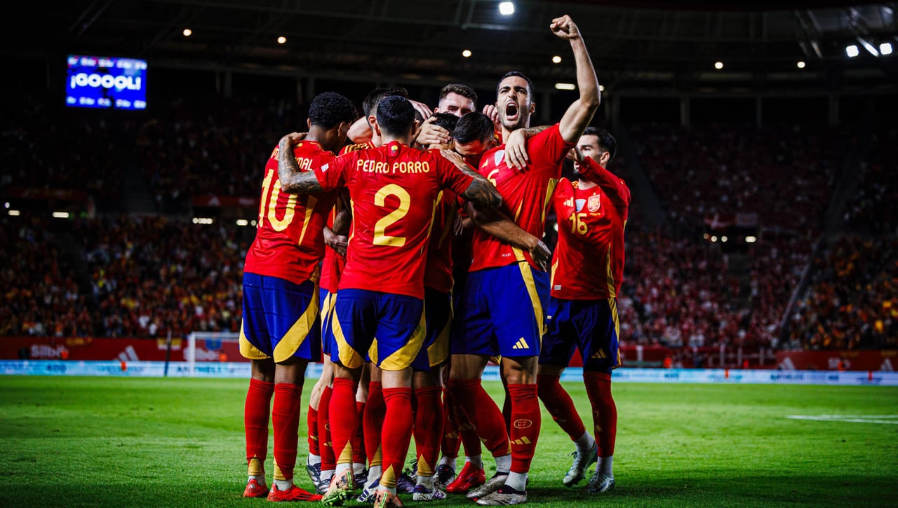 Los 12 miembros de la Comisión Delegada de la RFEF