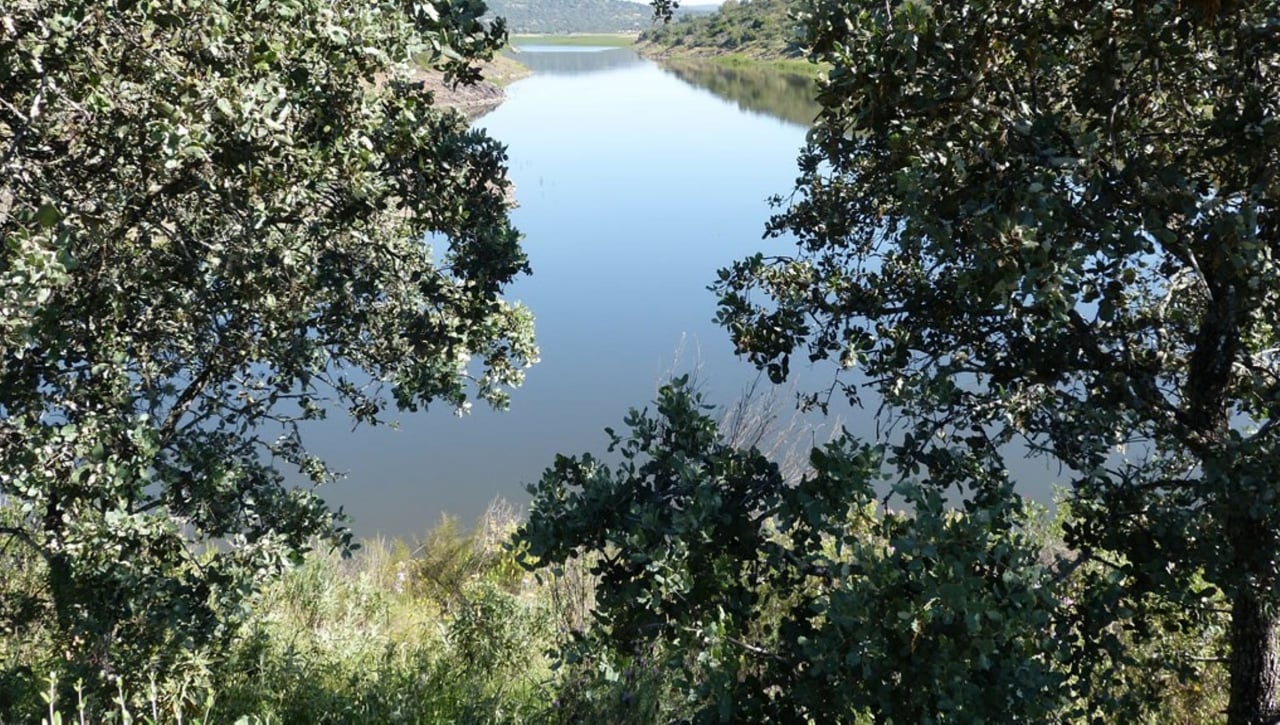 El Ronquillo: Los Brezales - Umbría de la Santa Fé: Paseo por el Pantano de Cala