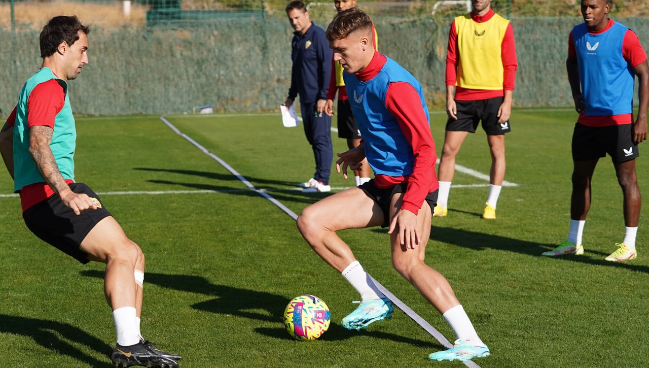 El futuro de Milovanovic en el Almería
