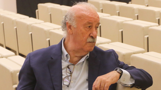 Vicente del Bosque, fuera