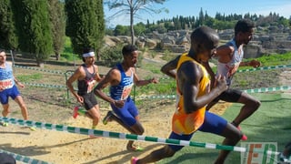 Los ganadores del Siglo XX en el Cross Internacional de Itálica