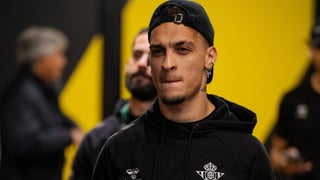 El Betis viaja a Leganés con muchas novedades en su convocatoria: William Carvalho, Johnny Cardoso, Pablo García... 