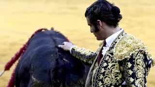 El estado de salud de Morante de la Puebla