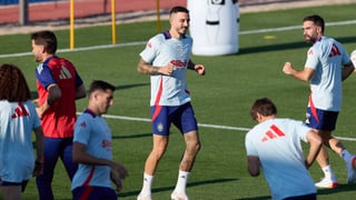 Joselu, Cubarsí, Aleix García, Sergio Gómez... Los olvidados de Luis de la Fuente