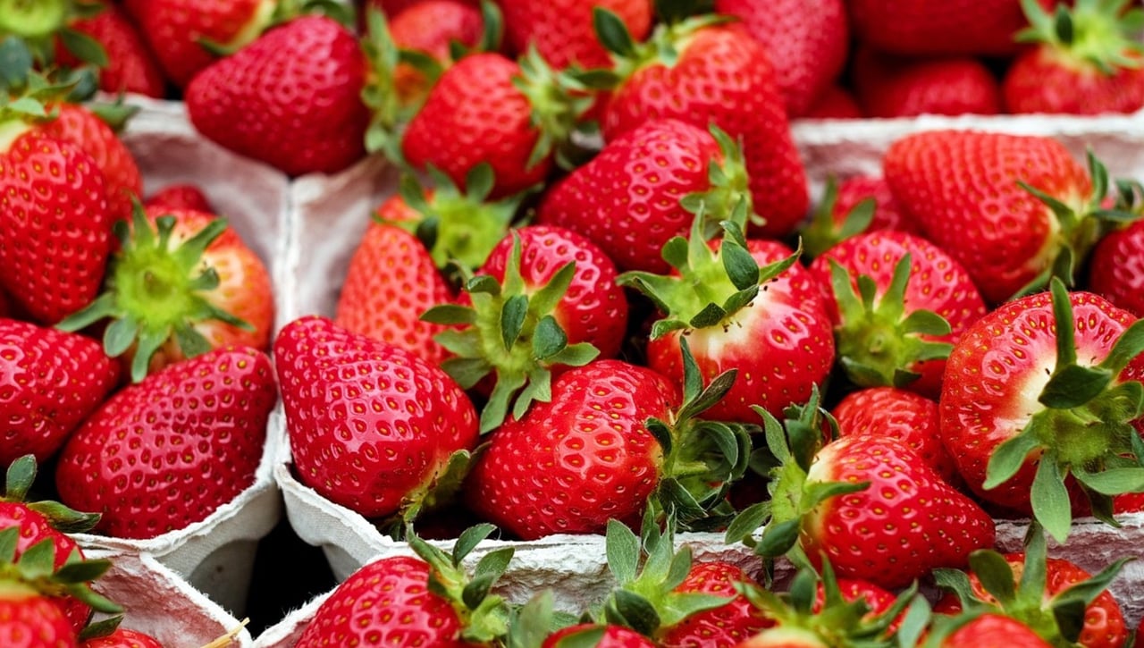 Frutas, verduras y pescados de temporada en abril: Alimentos que debes consumir y comprar este mes