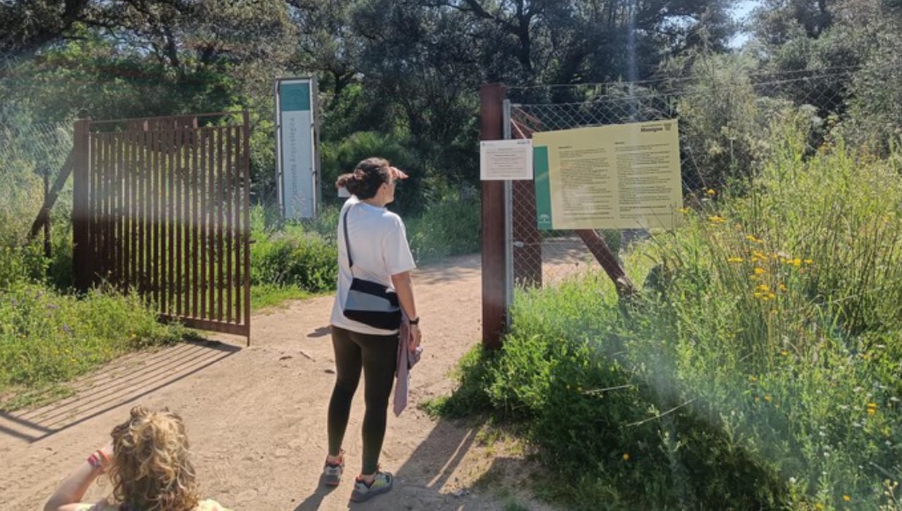 La mejor ruta de Sevilla para hacer senderismo en familia y ver animales