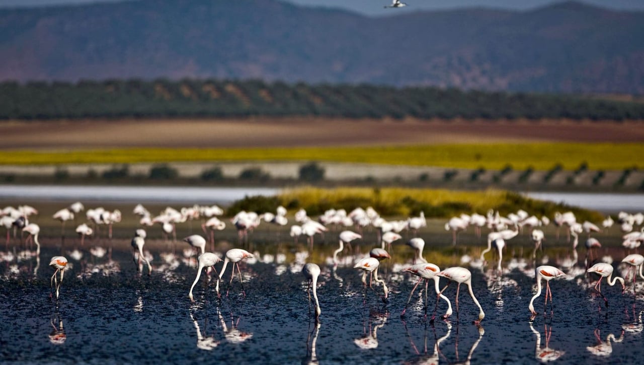El lago más bonito de Andalucía para visitar en otoño