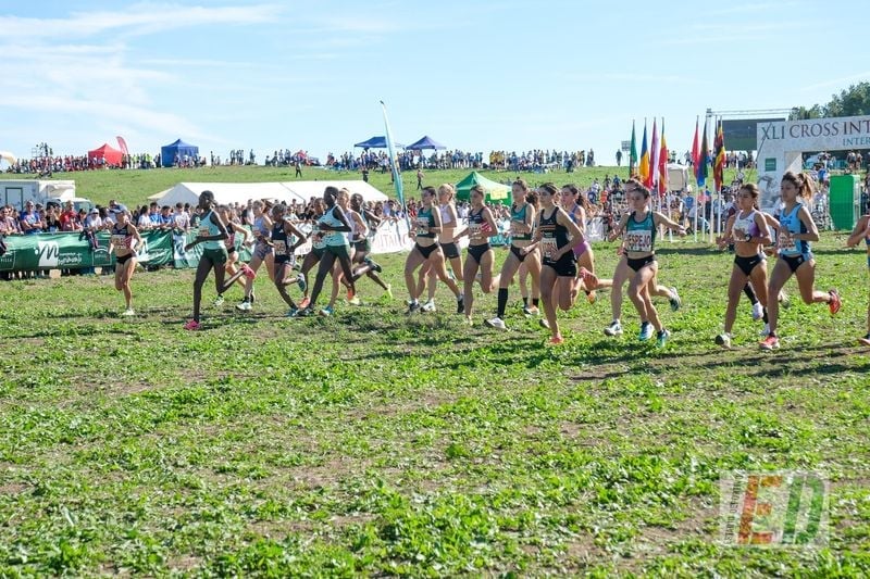 ¿Quiénes han sido los ganadores de las categorías inferiores del Cross de Itálica? 