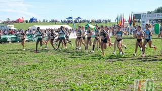 ¿Quiénes han sido los ganadores de las categorías inferiores del Cross de Itálica? 