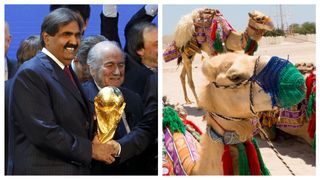 El 'COVID del camello' amenaza con jorobar el Mundial de Qatar