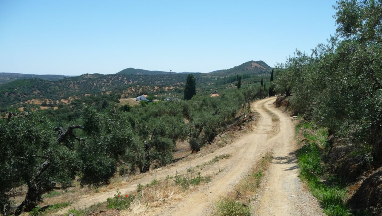 Esta semana regresa el Circuito Provincial de Senderismo