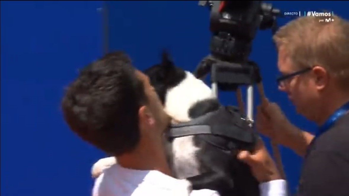 En vídeo, Pedro Cachín gana su primer torneo ATP y lo celebra con su perro