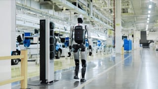 Este será el primer trabajo en desaparecer por la IA, según el creador de ChatGPT