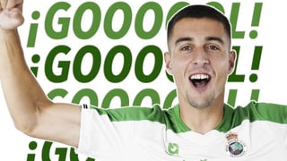 Karrikaburu despierta 