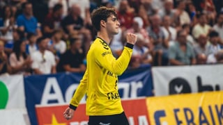 La roban otra perla al balonmano español