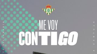 Los detalles de la campaña de abonados del Betis para la 25/26: 4.000 nuevas altas, soluciones para el traslado y sectorización de precios