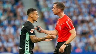 Contra todo y contra todos... nunca mejor dicho