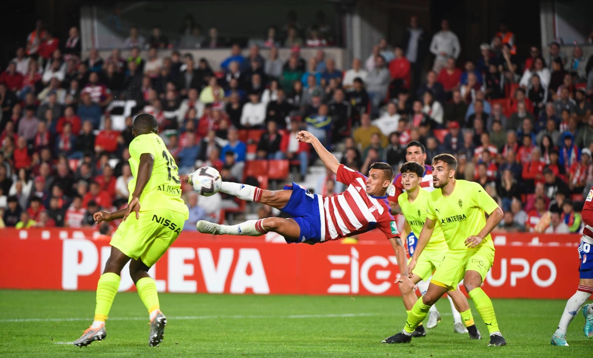 El propósito de Uzuni en 2023