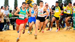 Éxito rotundo en las inscripciones del Cross Internacional de Itálica