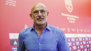 Los posibles perjudicados en España por la vieja guardia de Luis de la Fuente