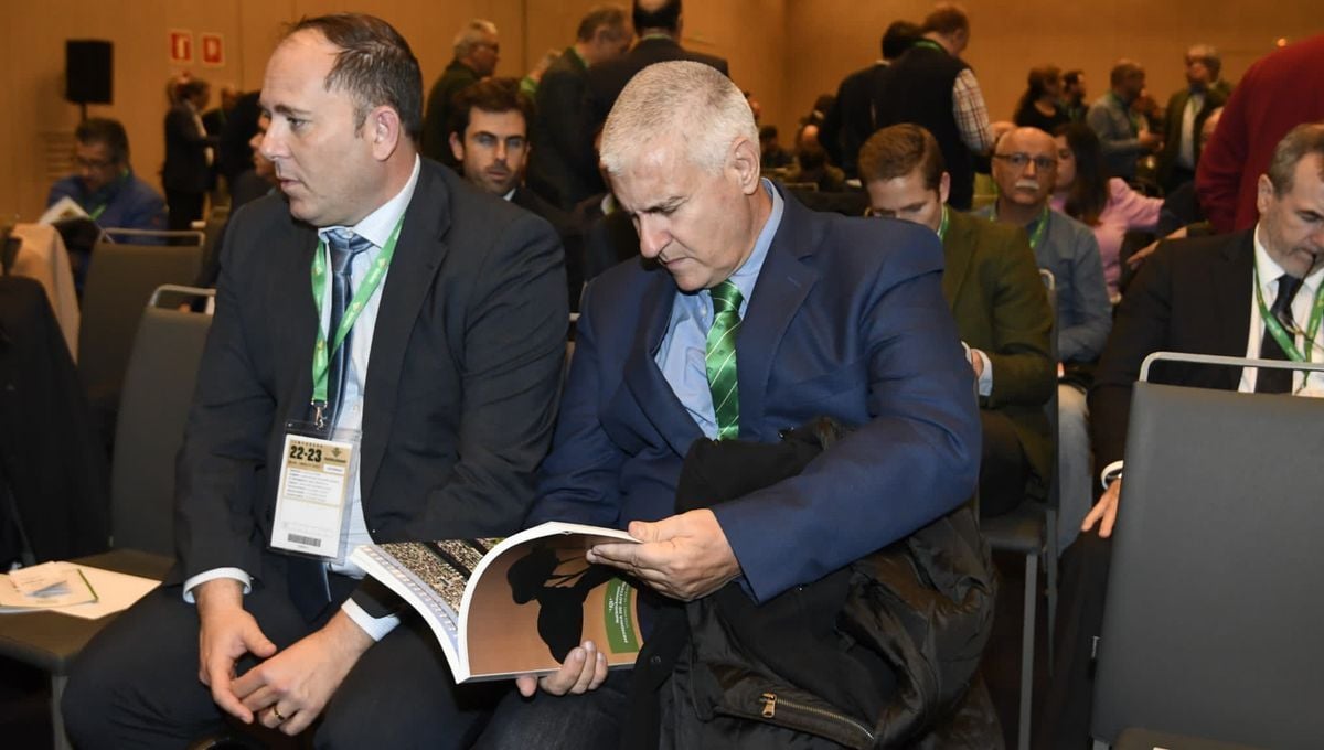 Cordón estudia dos ofertas, sus ayudantes se van del Betis con él y Ramón Planes mueve ficha 