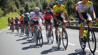 El Movistar Team ya tiene el fichaje que quería