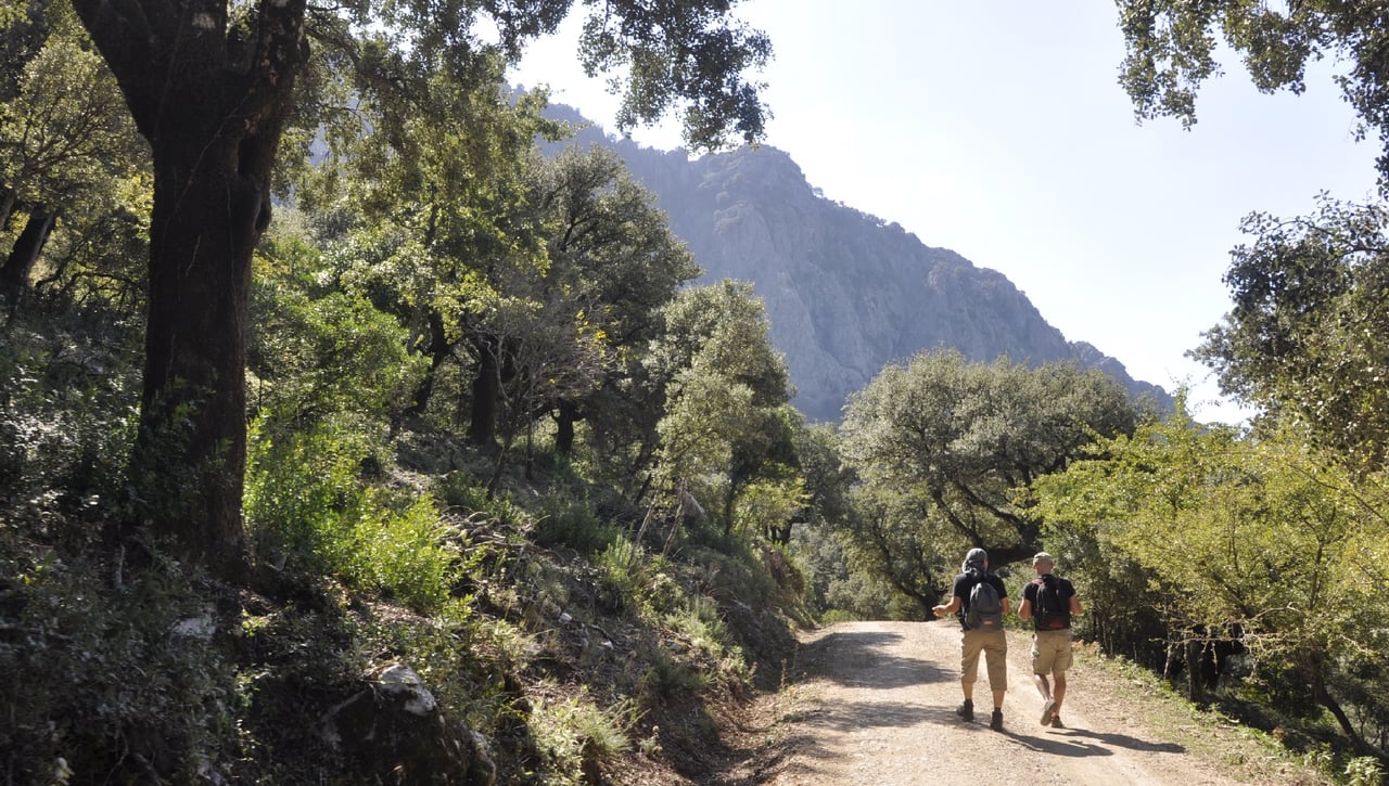 Andalucía a tus pies: senderos sencillos hacia las cumbres más espectaculares