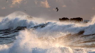 Helvetia avisará a sus clientes de riesgos meteorológicos a través de un sistema de alertas automatizado