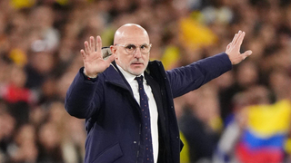 Alerta en la Selección española de Luis de la Fuente