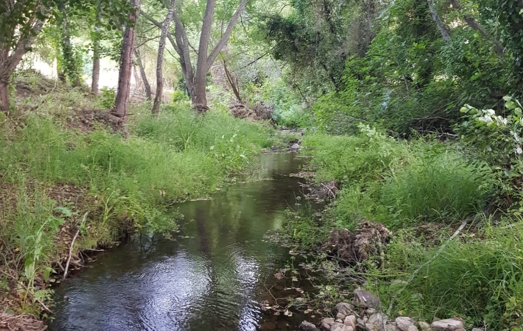 Ruta Molinos del Ciudadeja: Un sendero agradable y fresco ideal para realizarlo en familia