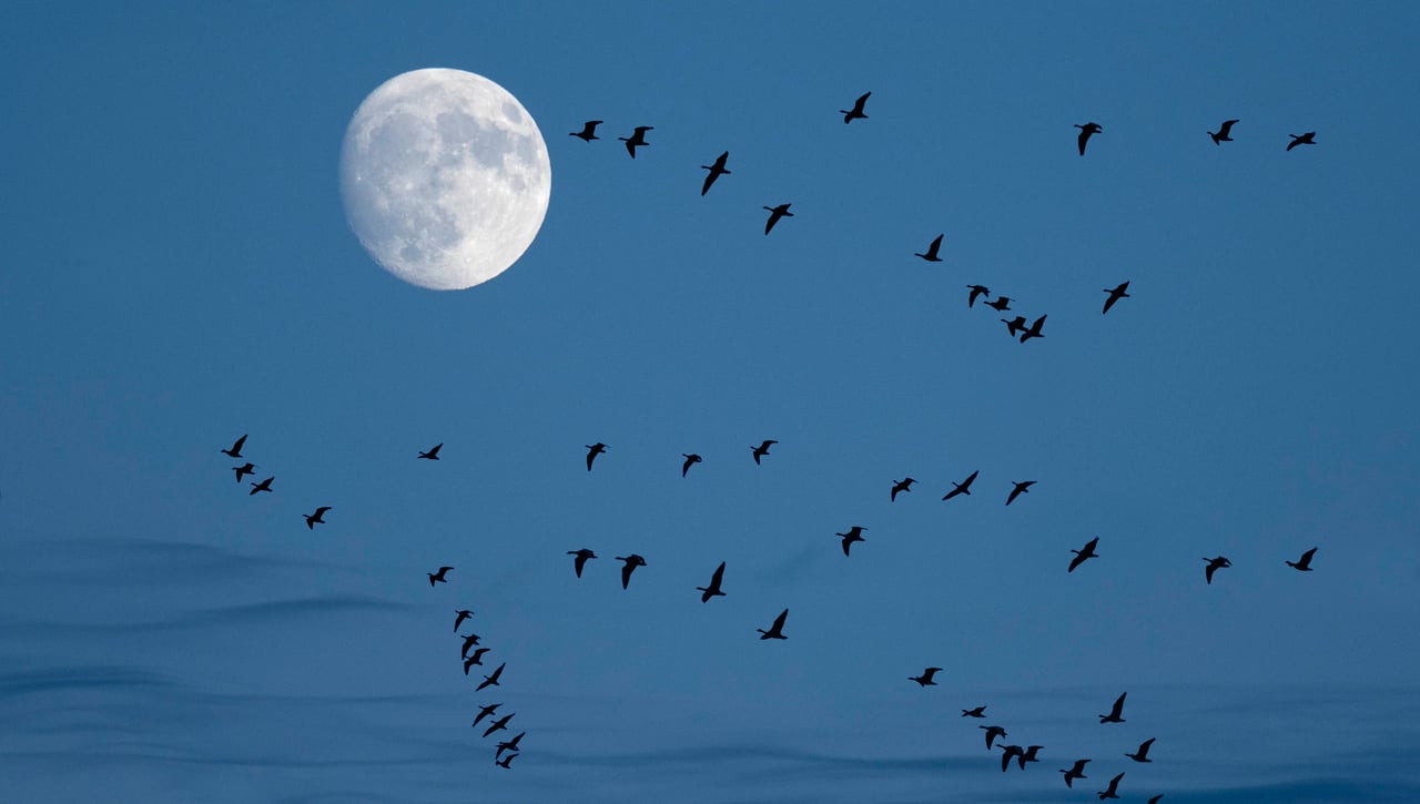 De la Tierra a la Luna: el GPS made in Spain que hará historia