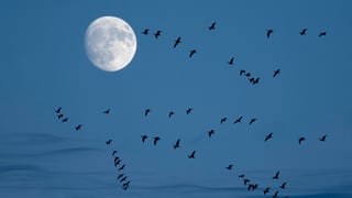 De la Tierra a la Luna: el GPS made in Spain que hará historia