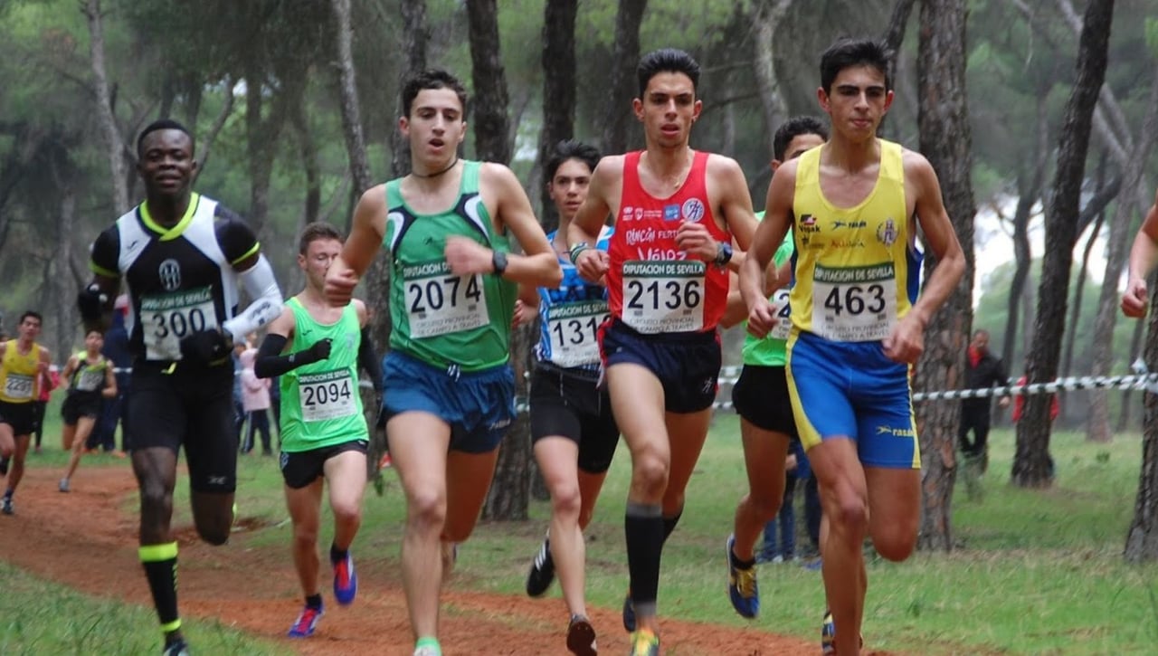Marchena y Coria se llevan la primera prueba del Circuito Provincial de Cross de la Diputación