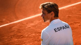 David Ferrer y el cambio de su vida